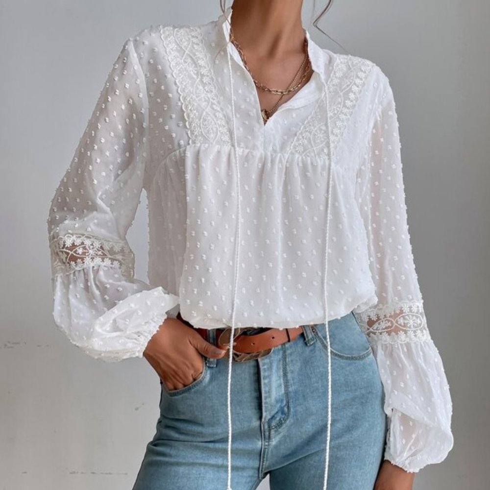 Swiss Dot Embroidery Mesh Lantern Sleeve  Blouse - Picture 4 of 6